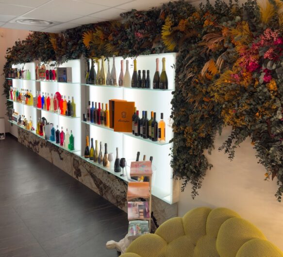 Rez-de-chaussée, nos collections