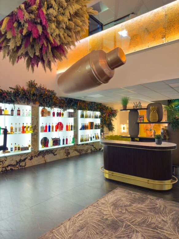 Rez-de-chaussée, nos collections