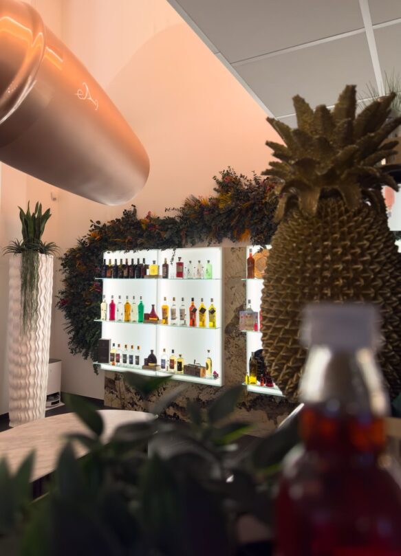 Rez-de-chaussée, nos collections