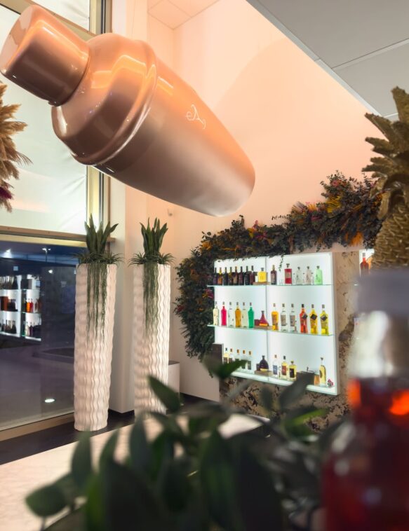 Rez-de-chaussée, nos collections