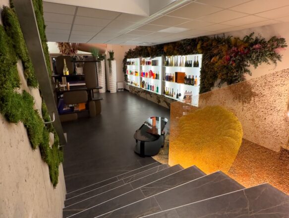 Rez-de-chaussée, nos collections